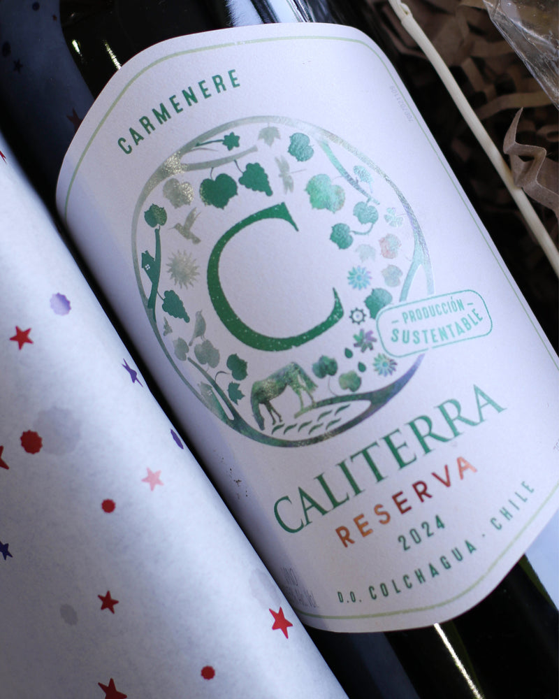 Brindis y Sabores